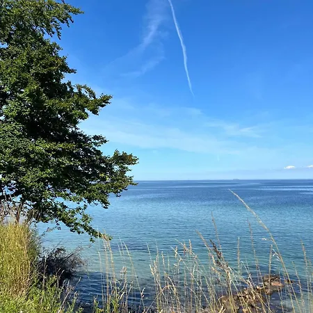 Maduco, Waterfront Krabben