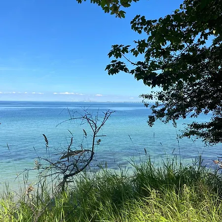 Maduco, Waterfront Krabben